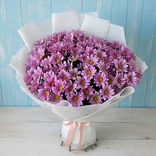 Букет сиреневая охапка в Ангарске Букет цветов из:  Хризантемы в Ангарске