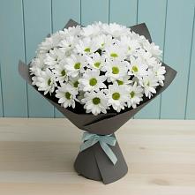 Букет цветов из:  Хризантемы в Ангарске