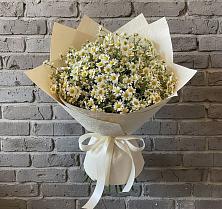 Букет Кустики радости в Ангарске Букет цветов из:  Ромашки в Ангарске
