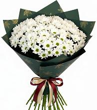 Букет море ромашек #REPLACE_PRED# Ангарске Букет цветов из:  Хризантемы #REPLACE_PRED# Ангарске