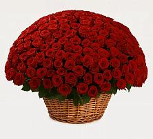 Премиум букет из: Розы в Ангарске